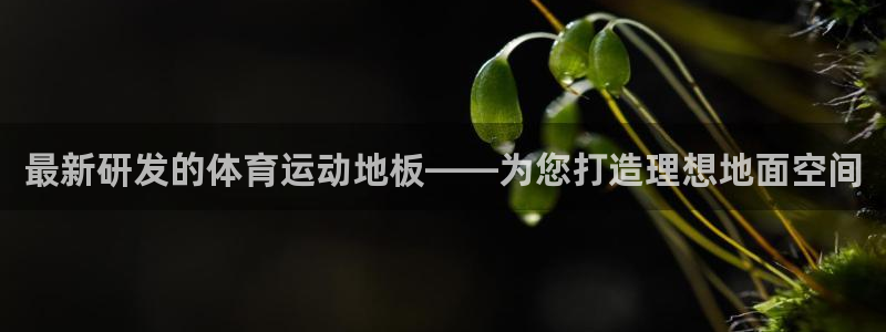 最新研发的体育运动地板——为您打造理想地面空间