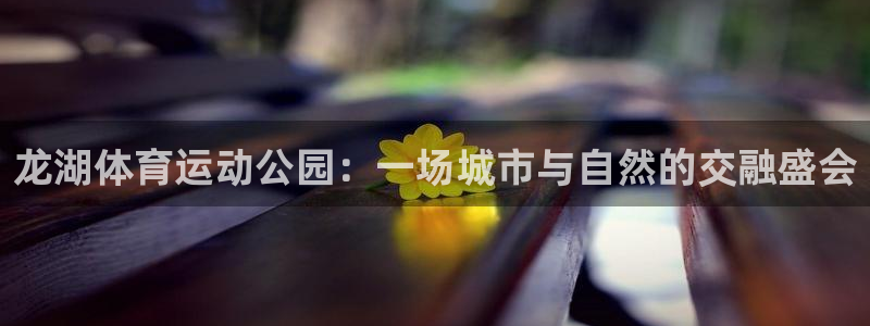 龙湖体育运动公园：一场城市与自然的交融盛会