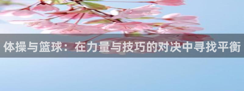 体操与篮球：在力量与技巧的对决中寻找平衡