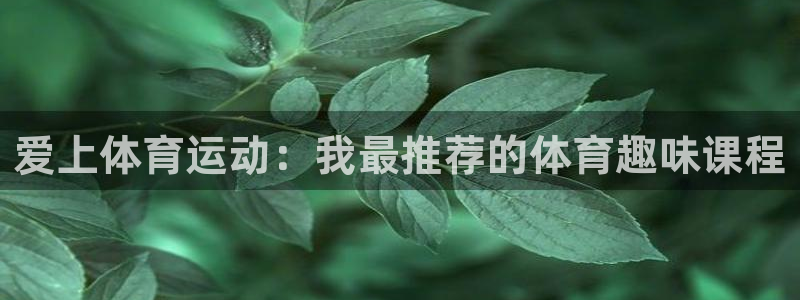 爱上体育运动：我最推荐的体育趣味课程