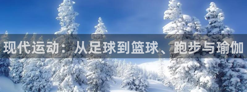现代运动：从足球到篮球、跑步与瑜伽