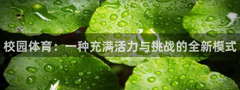 校园体育：一种充满活力与挑战的全新模式