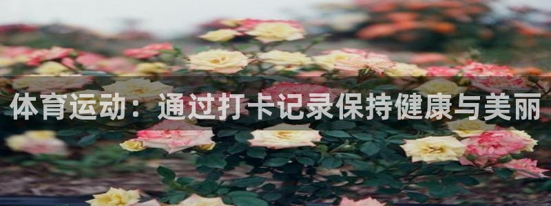 体育运动：通过打卡记录保持健康与美丽