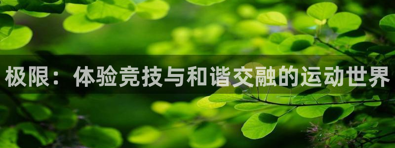 极限：体验竞技与和谐交融的运动世界
