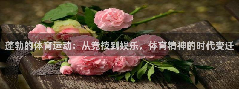 蓬勃的体育运动：从竞技到娱乐，体育精神的时代变迁